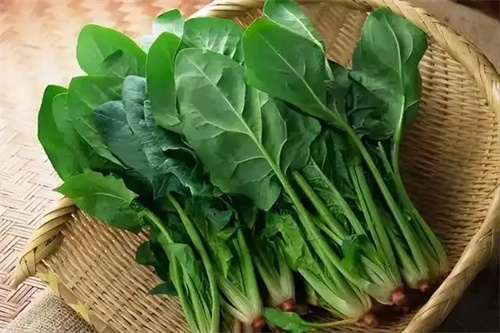 图片细节